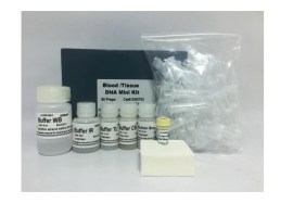 Kit De Purificação De DNA Genômico Em Sangue - 50 Reações - Biotec